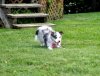 DSC_0219.JPG