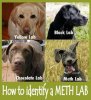 meth lab.jpg