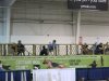 IMG_0512.JPG