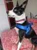 DSCF3466.JPG