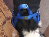 DSCF3470.JPG