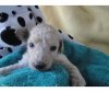 baby Lu1.jpg