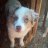 SkylarTheAussie
