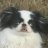 chipup1313