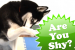 Are You Shy?!