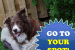 Go To Your Dog Spot