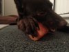 20121219_012950.jpg