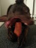 20121219_013033.jpg