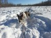 20130321_172502_2.jpg