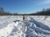 20130321_172543_6.jpg
