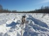 20130321_172543_9.jpg