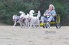 Dryland Mushing Fun Run-162.jpg