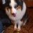abby_someone
