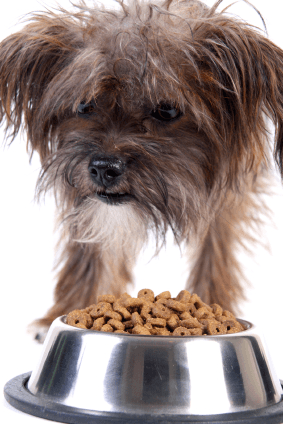 dog_food-aggression