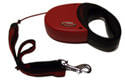 Retractable Leash