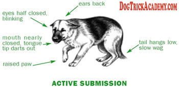 Dog Submissive Stance