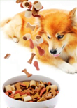 dog-training-treats-feature