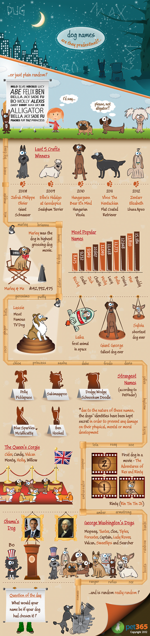 Creative sales dog names