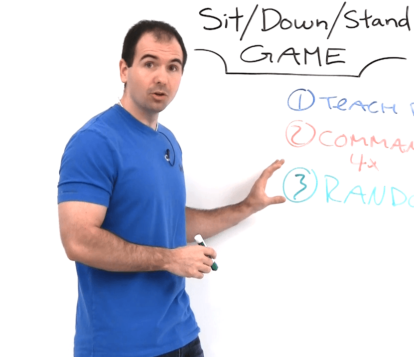 Sit, Down, Stand – Game