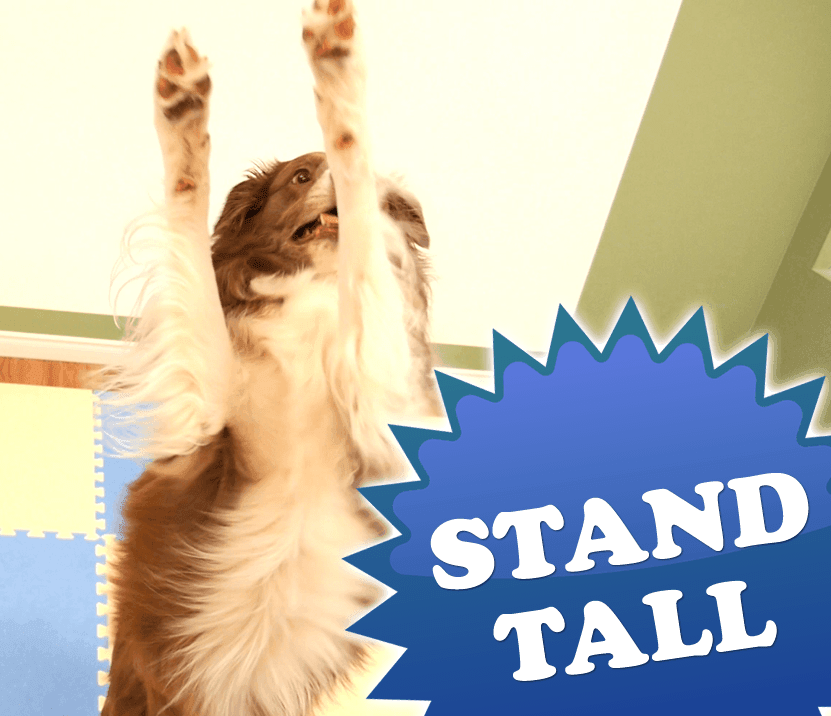 Stand Tall