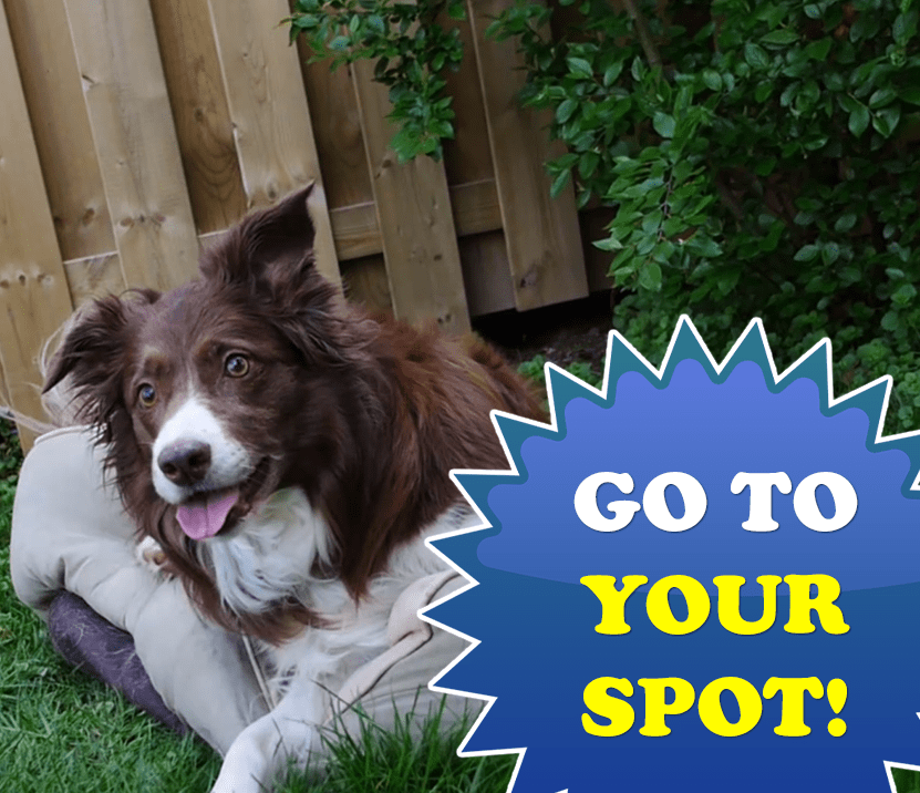 Go To Your Spot
