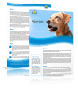 figure of eight dog lead instructions