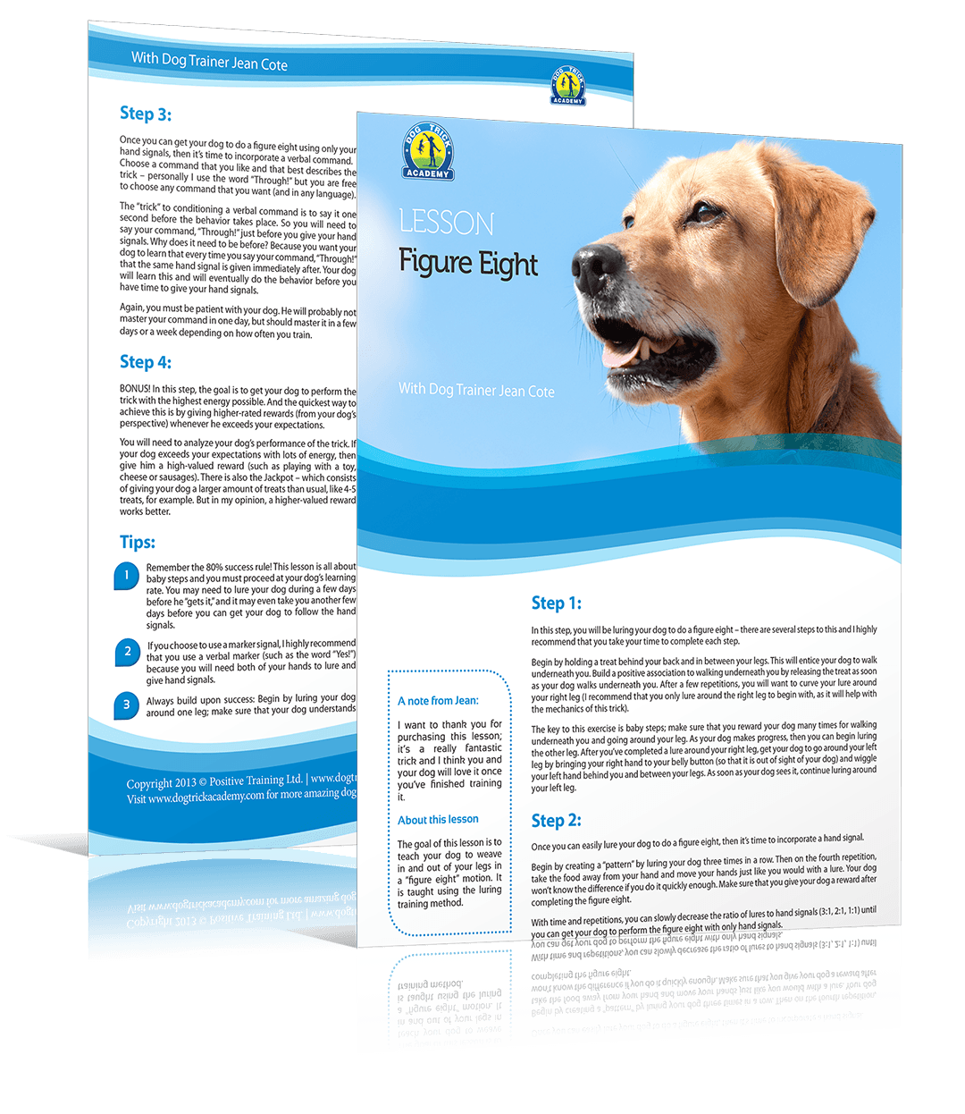 figure of eight dog lead instructions
