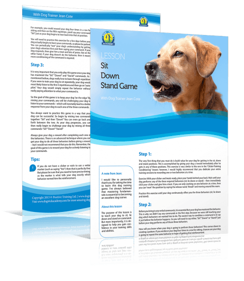 Sit, Down, Stand – Game - Dog Trick Academy