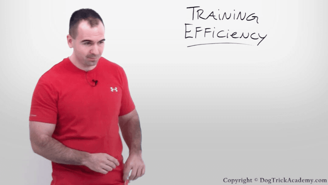 Improving The Efficiency Of Your Training Sessions